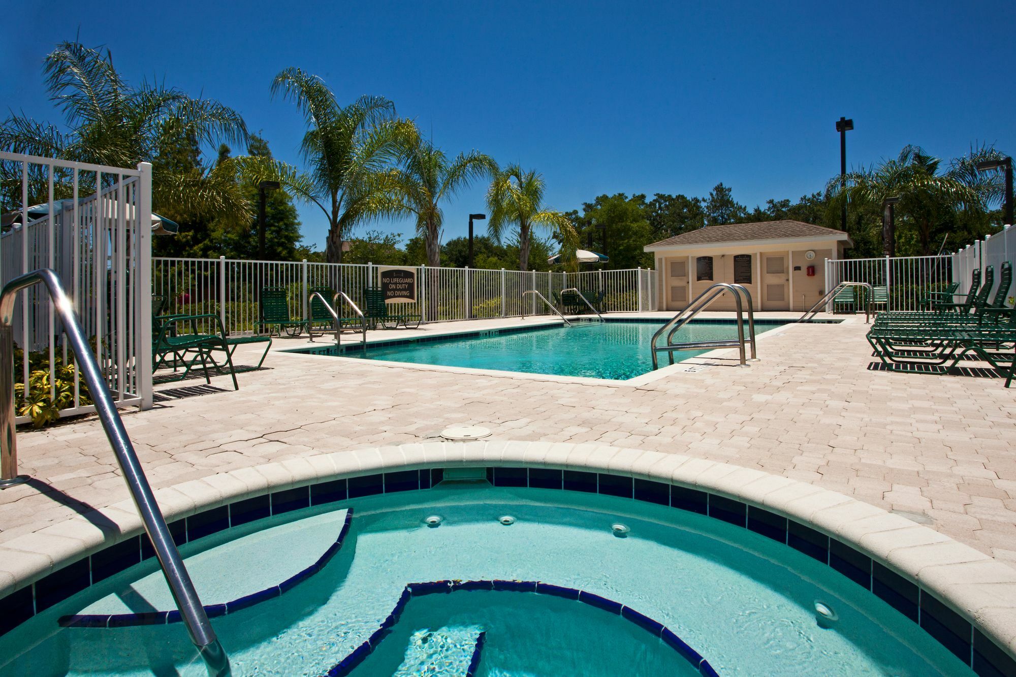 Staybridge Suites Tampa East- Brandon By Ihg Mango Buitenkant foto