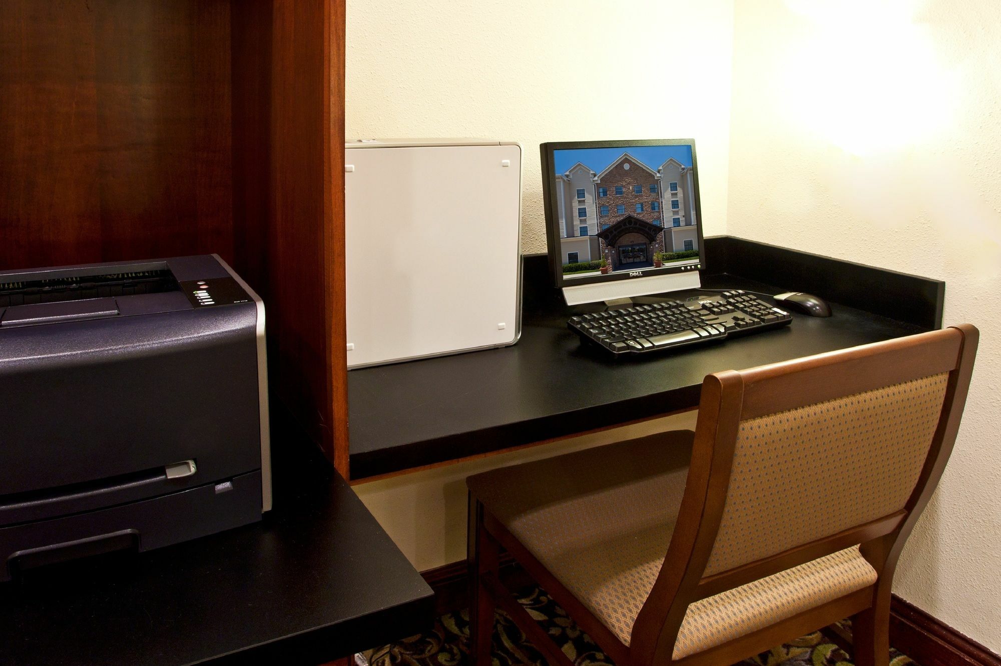 Staybridge Suites Tampa East- Brandon By Ihg Mango Buitenkant foto