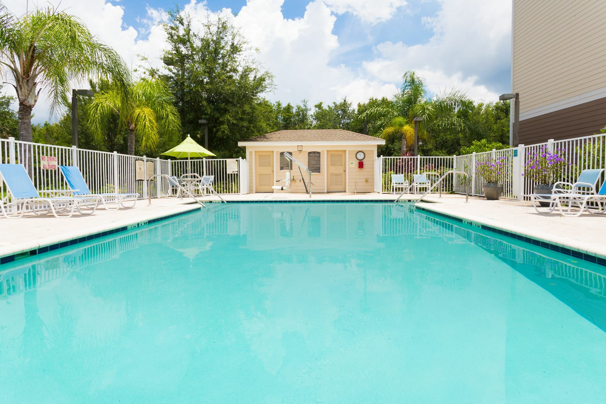 Staybridge Suites Tampa East- Brandon By Ihg Mango Buitenkant foto