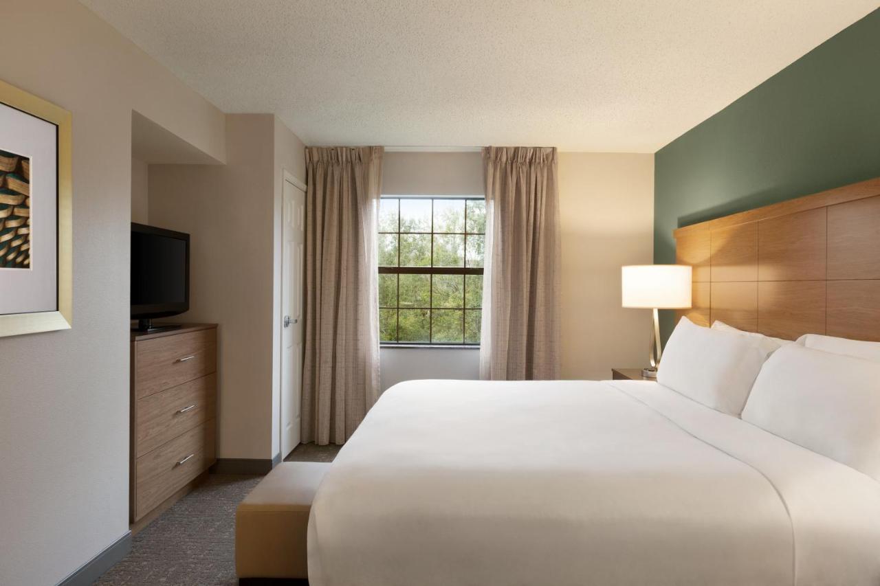 Staybridge Suites Tampa East- Brandon By Ihg Mango Buitenkant foto